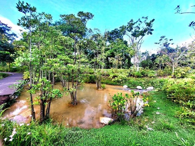 Nostalgic feels at Cascading creeks