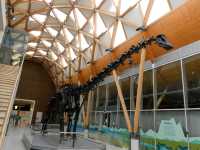 Coventry: A City of Peace and Innovation
