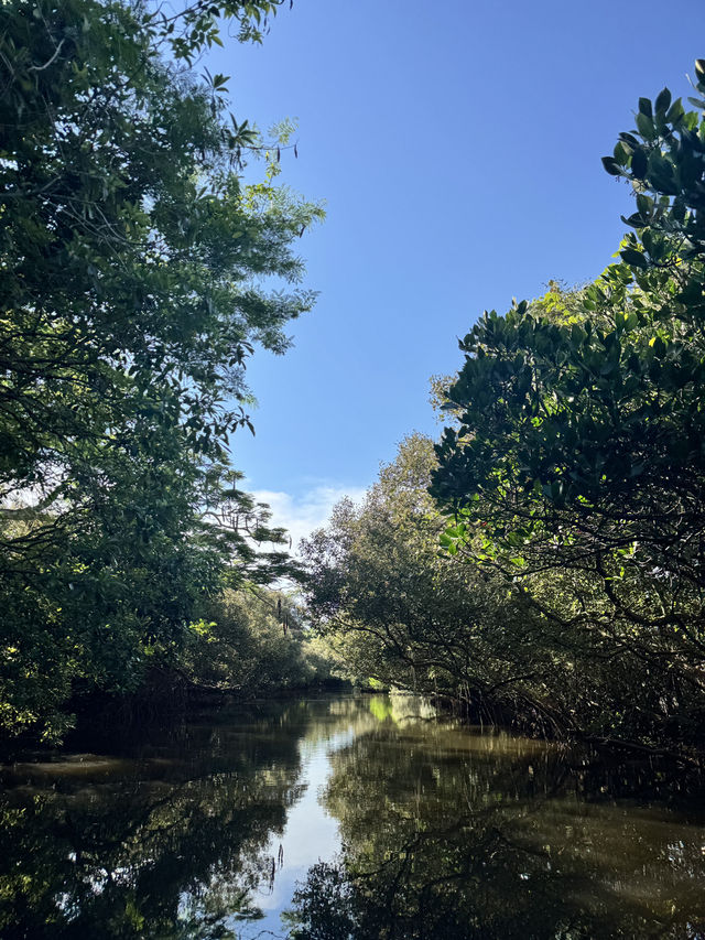 台南真是古色古香的台灣寶藏旅遊城市