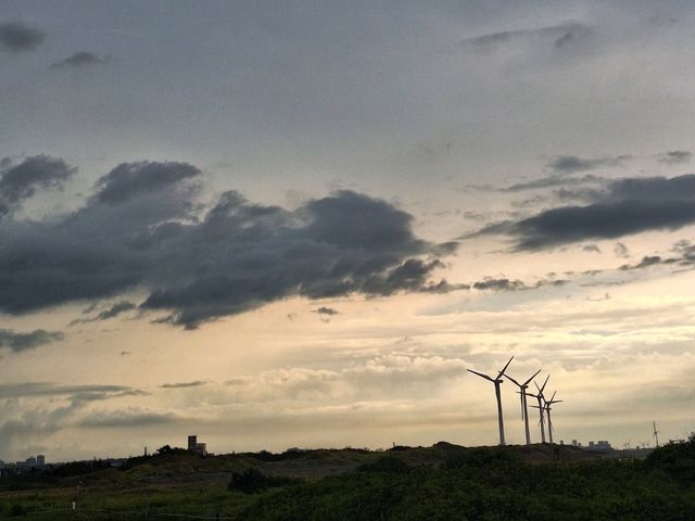 畫一般的美景-許厝港濕地