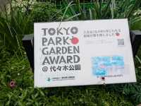 A Floral Escape at Yoyogi Park