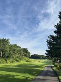 웰링턴CC (Wellington Country Club) – 이천의 신비로운 프라이빗 챔피언십 코스 