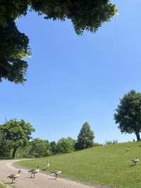 🏞️ Stadtpark Leonberg⛲️