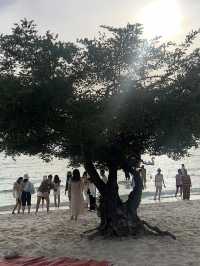 หาดเทียนเกาะล้านที่ไม่ควรพลาด น้องห่านน่ารัก