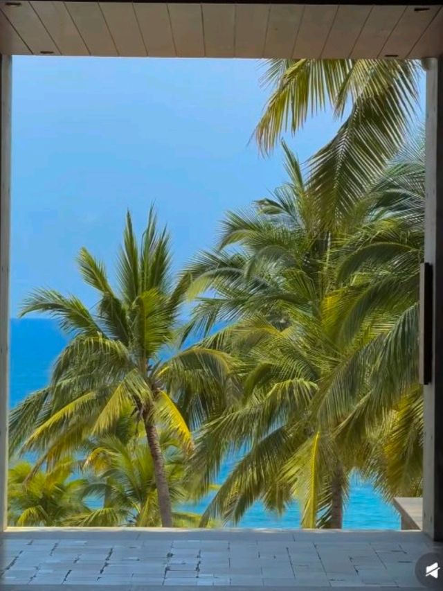 三亞3 天遊⛱️暑假出發前必看避雷攻略  