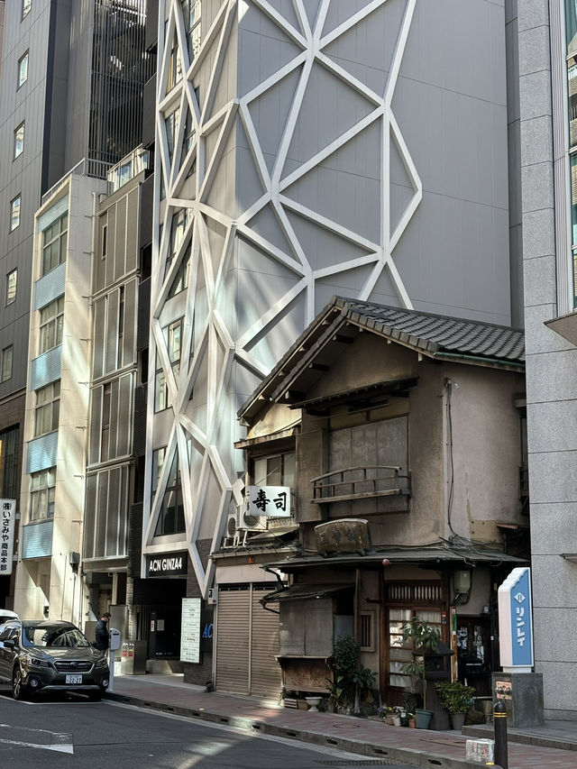 인생 첫 도쿄투어 다녀왔습니다!