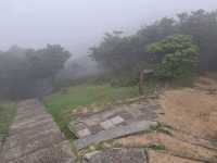 三重山頂秘境！絕美公園四季皆風景！