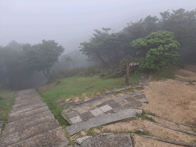 三重山頂秘境！絕美公園四季皆風景！