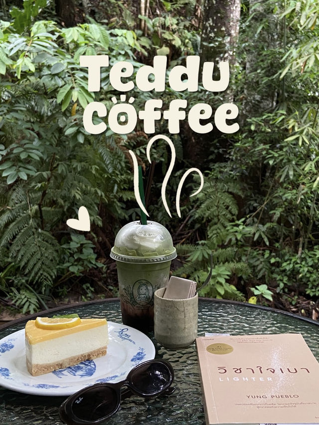 คาเฟ่แม่กำปอง เทดดู้คอฟฟี่