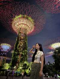 แชร์ประสบการณ์เที่ยว Gardens by the Bay @สิงคโปร์