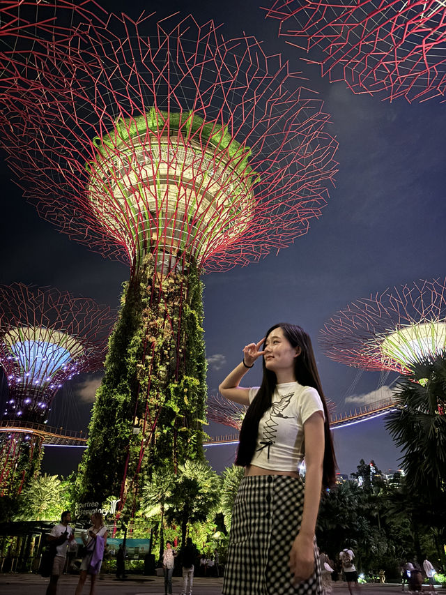 แชร์ประสบการณ์เที่ยว Gardens by the Bay @สิงคโปร์