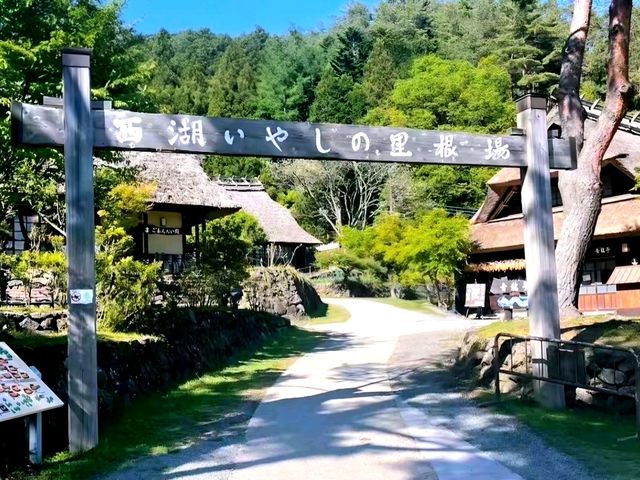 Healing Village by Mt. Fuji: Saiko Iyashi‑no‑Sato Nenba