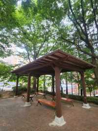 🌳잠시 휴식하기 좋은 군포 금정동 작은공원, "느티울어린이공원"🌳