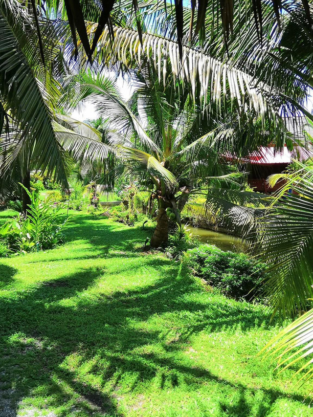 🌽🥐🥯🥨 บ้านสวนพาฝัน🧇🥞