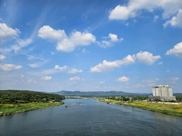여주 당일치기 여행 남한강 출렁다리 리버뷰 카페