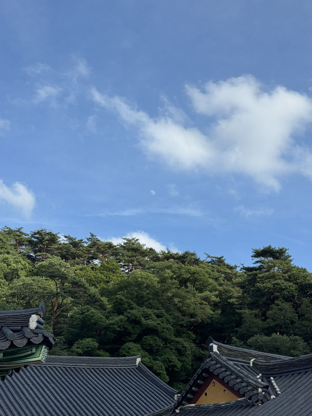 법주사에서 시원하게 여름휴양하기