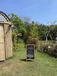 Butterfly Garden in Nuanu