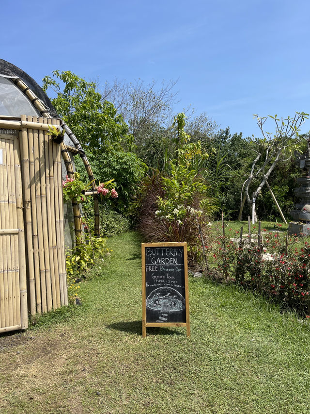 Butterfly Garden in Nuanu