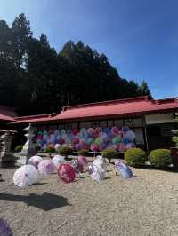  金蛇水神社へ行くべき五つの理由🇯🇵✈️🌎