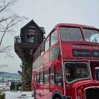 Sapporo in a Day: Culture, Cuisine & City Highlights