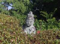 【神奈川県】 美しい鎌倉の奥座敷 花と水のお寺『海蔵寺』