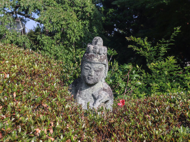 【神奈川県】 美しい鎌倉の奥座敷 花と水のお寺『海蔵寺』