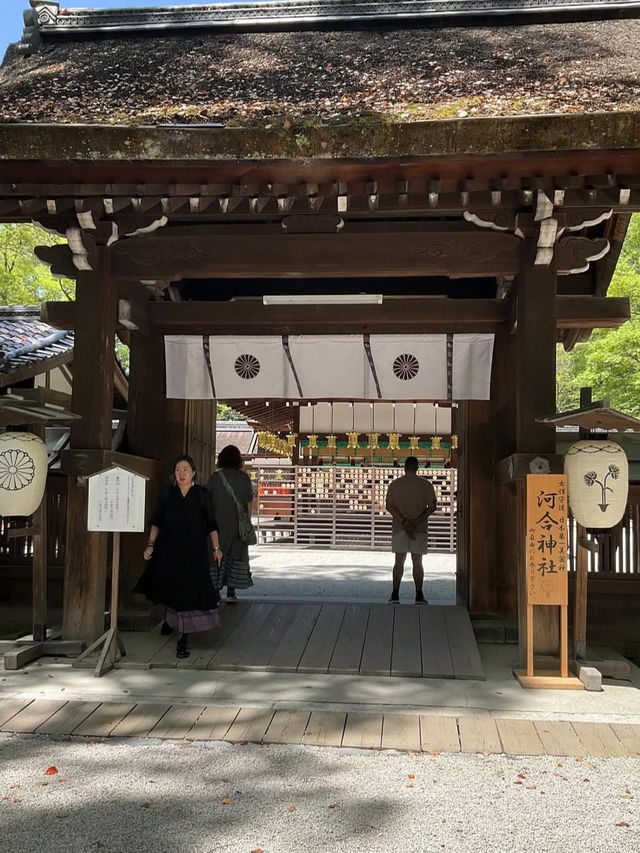 【下鴨神社】森と水に包まれる聖地🌿みたらし団子の発祥地で心清める旅