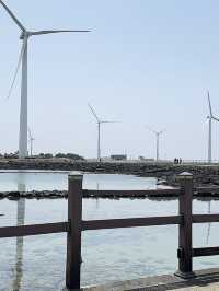 Jeju Island Trip