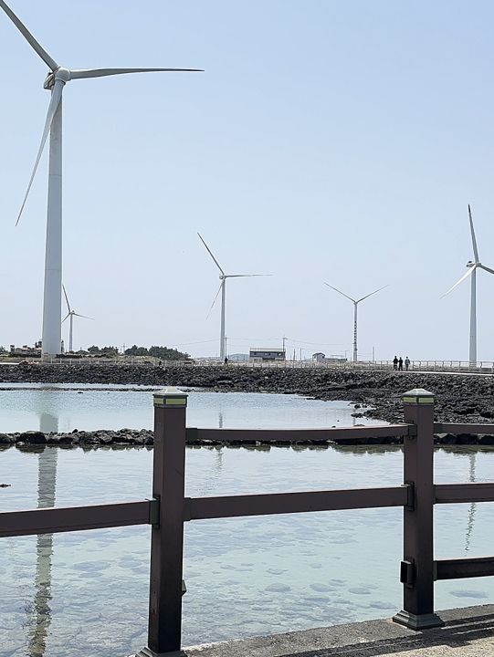 Jeju Island Trip