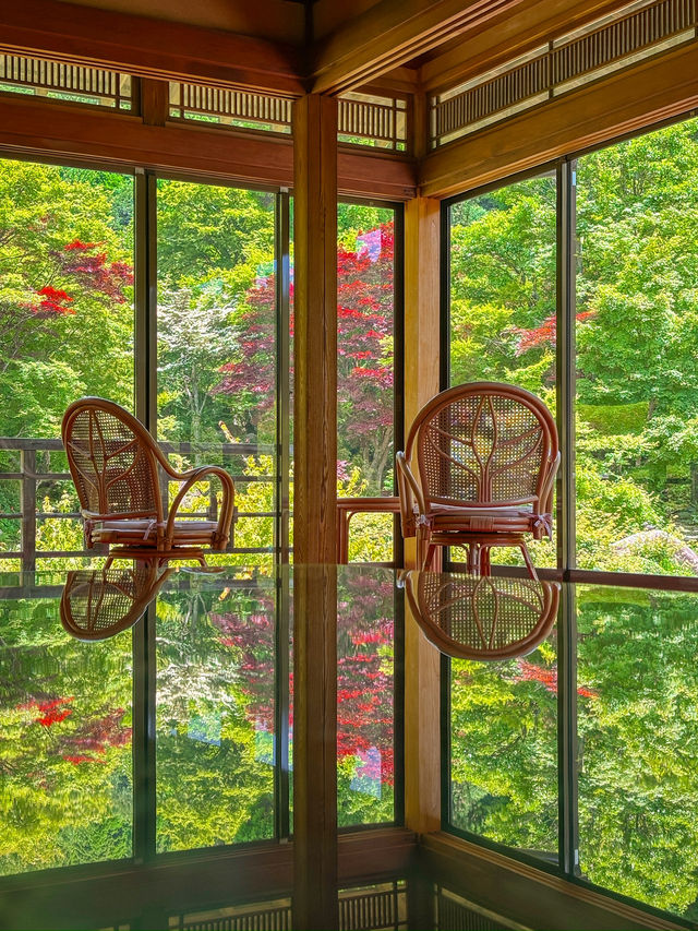 아름다운 장면 하나를 보려고 오는 환경예술의 숲💚🌳