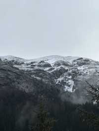 The Virgin Forests Of Jiuzhaigou