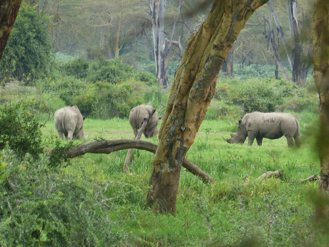 Kenya - Tanzania trip 2025 🇰🇪🇹🇿