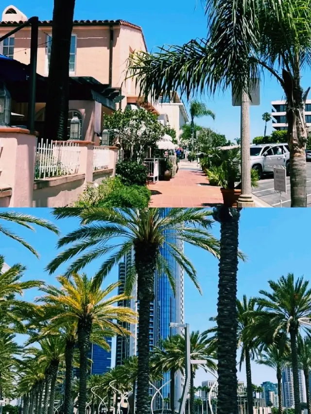 San Diego: A Perfect Travel Destination Blending Beaches and Culture