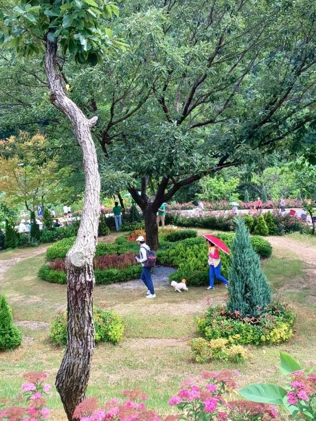 여름을 수놓는 꽃의 향연