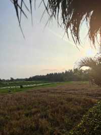 🌾 Bebek Sari Uma Tanah Lot: A Balinese Culinary Pause Amid the Paddy Fields