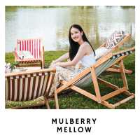 🌿 Mulberry Mellow – คาเฟ่กลางสวนมัลเบอร์รี่ในฝัน