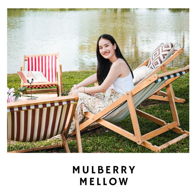 🌿 Mulberry Mellow – คาเฟ่กลางสวนมัลเบอร์รี่ในฝัน