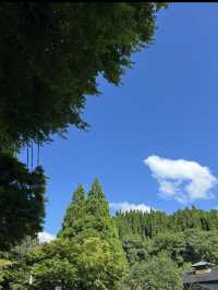 【黒川温泉】湯めぐりで心も体もとろける、癒しの温泉街♨️🌙