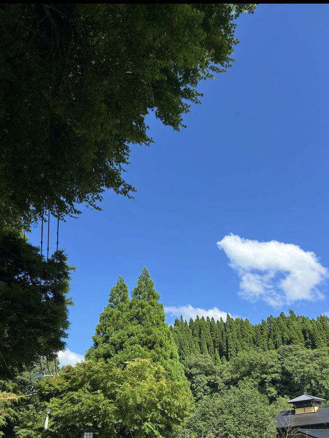 【黒川温泉】湯めぐりで心も体もとろける、癒しの温泉街♨️🌙