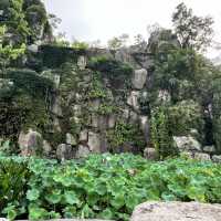 🎋 Chengdu People’s Park 成都人民公园 | A Window into Local Life