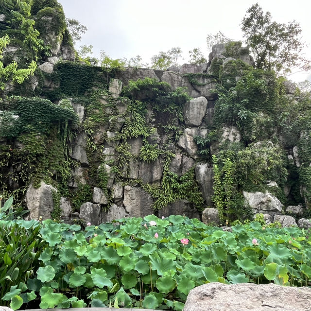 🎋 Chengdu People’s Park 成都人民公园 | A Window into Local Life