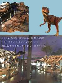 夏休みにも！こどもから大人まで楽しめる【福井県立恐竜博物館】🦖