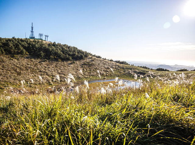 하늘을 걷는 순간, 제주에서 인생샷 날리다 🌾🏔
