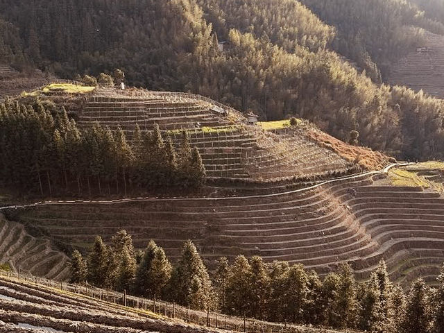 Longsheng Rice Terraces: A Golden Ladder to the Sky
