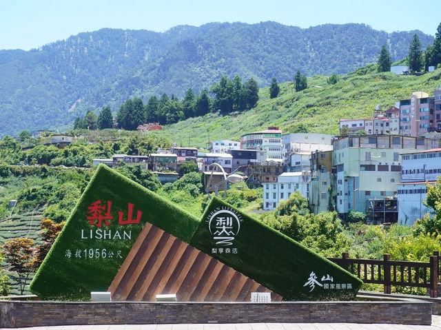 梨山楓之谷