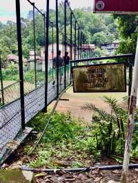 🌳 Beneath the Old Tree: The Heart of Sungai Lembing