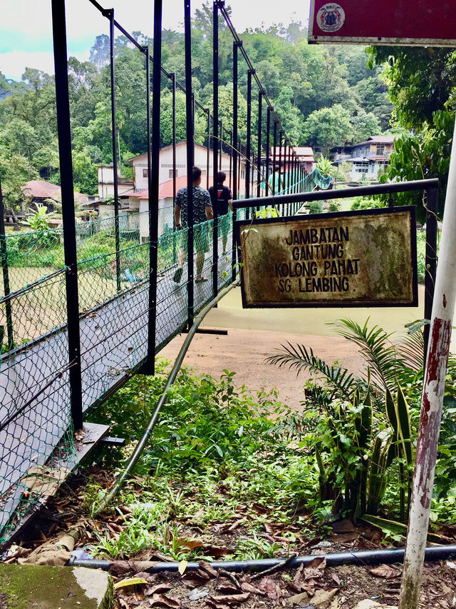 🌳 Beneath the Old Tree: The Heart of Sungai Lembing