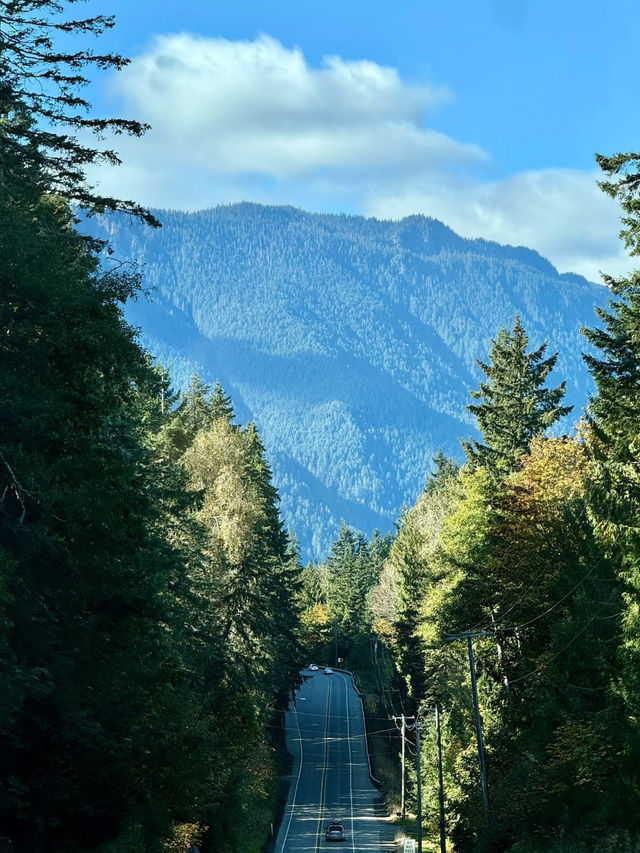 🌲 Olympic National Park Day Trip – Mountains, Lakes, Beaches & Twilight Vibes