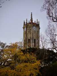 Auckland 1 Days Travel Guide 
