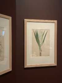 🖼️📚 RAMM – พิพิธภัณฑ์ที่ไม่ได้แค่โชว์ของ ✨🎨